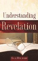 bokomslag Understanding Revelation