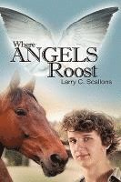 Where Angels Roost 1