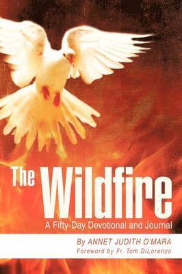 bokomslag The Wildfire