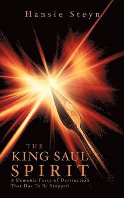 Hansie Steyn - King Saul Spirit, Häftad