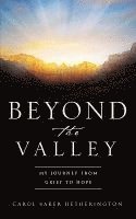 bokomslag Beyond the Valley
