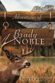 bokomslag Adventures of Brady Noble