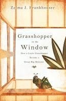 Grasshopper in the Window 1