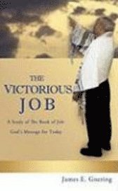 bokomslag The Victorous Job