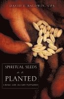 bokomslag Spiritual Seeds to Be Planted