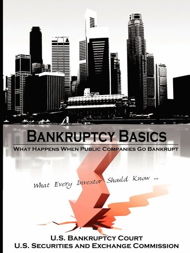 bokomslag Bankruptcy Basics