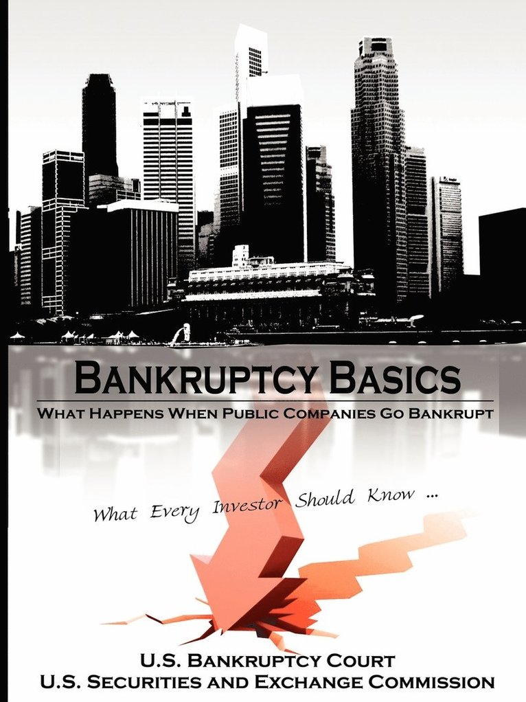 Bankruptcy Basics 1