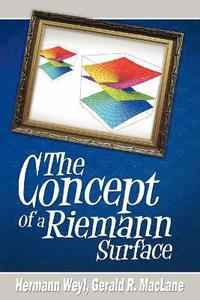 bokomslag The Concept of a Riemann Surface