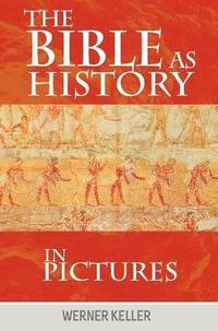 bokomslag Bible as History in Pictures
