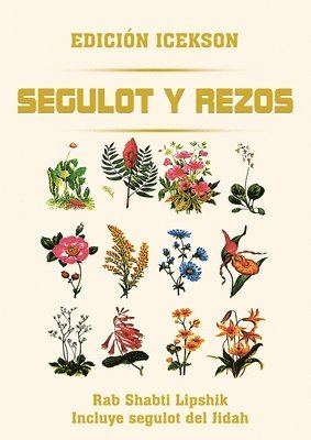 Segulot y Rezos 1