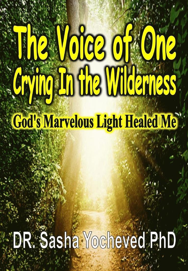 Sasha Yocheved, DR. Sasha Yocheved PhD - Voice of One Crying In the Wilderness, Inbunden