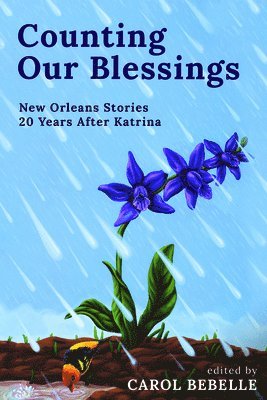 Carol Bebelle - Counting Our Blessings: The Other Katrina Stories, Häftad