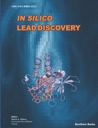bokomslag In Silico Lead Discovery