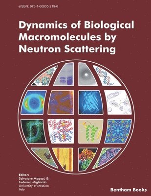bokomslag Dynamics of Biological Macromolecules by Neutron Scattering
