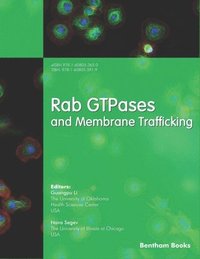 bokomslag Rab GTPases and Membrane Trafficking
