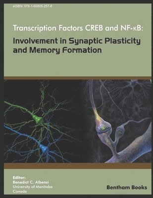 bokomslag Transcription Factors CREB and NF-KB: Involvement in Synaptic Plasticity and Memory Formation