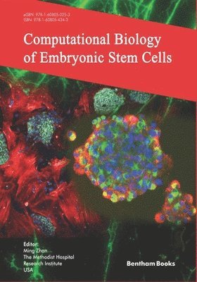 Ming Zhan - Computational Biology of Embryonic Stem Cells, Häftad