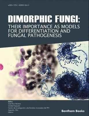 bokomslag Dimorphic Fungi: Their importance as Models for Differentiation and Fungal Pathogenesis