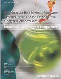 bokomslag The Molecular Basis for the Link Between Maternal Health and the Origin of Fetal Congenital Abnormalities: An overview of Association with Oxidative S