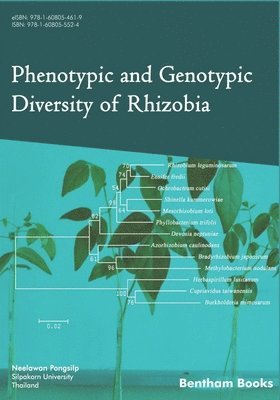 Neelawan Pongsilp - Phenotypic and Genotypic Diversity of Rhizobia, Häftad