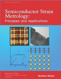 bokomslag Semiconductor Strain Metrology: Principles and Applications