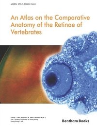 bokomslag Atlas on the Comparative Anatomy of the Retinae of Vertebrates