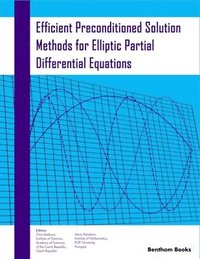 bokomslag Efficient Preconditioned Solution Methods for Elliptic Partial Differential Equations