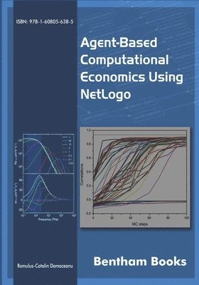 Romulus Catalin Damaceanu - Agent-based Computational Economics using NetLogo, Häftad