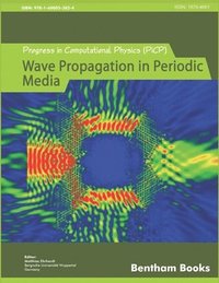 bokomslag Progress in Computational Physics (PiCP): Coupled Fluid Flow in Energy, Biology and Environmental Research