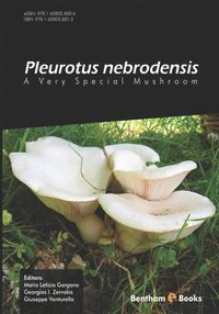 bokomslag Pleurotus Nebrodensis: A Very Special Mushroom