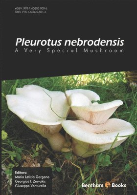 bokomslag Pleurotus Nebrodensis: A Very Special Mushroom