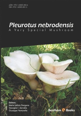 Pleurotus Nebrodensis: A Very Special Mushroom 1