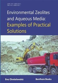 bokomslag Environmental Zeolites and Aqueous Media: Examples of practical solutions