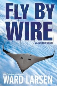 bokomslag Fly By Wire