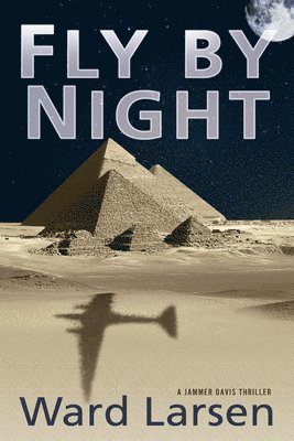 bokomslag Fly by Night