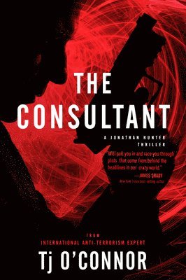 The Consultant 1