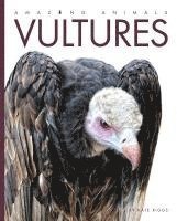 Kate Riggs - Amazing Animals Vultures, Inbunden