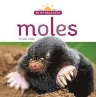 bokomslag Moles