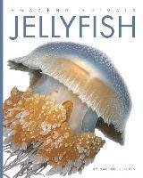 Jellyfish 1