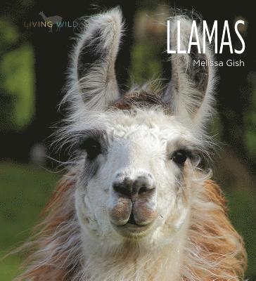 Llamas 1