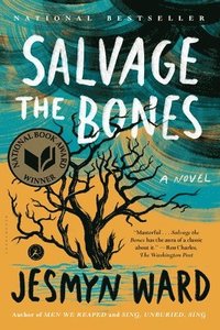 bokomslag Salvage the Bones