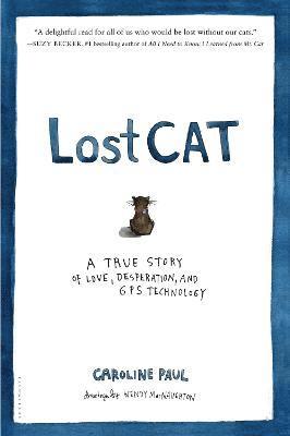 Lost Cat 1