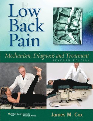 Low Back Pain : Mechanism, Diagnosis and Treatment