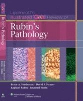 bokomslag Lippincott Illustrated Q&A Review of Rubin's Pathology
