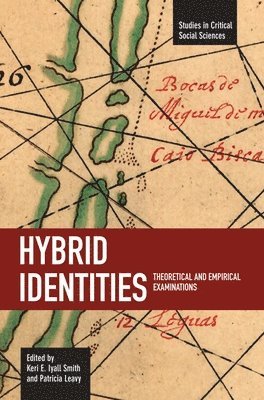 Keri Smith, Keri E. Iyall Smith, Patricia Leavy, Keri E Iyall Smith - Hybrid Identities: Theoretical And Empirical Examinations, Häftad