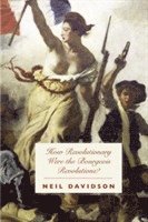 Neil Davidson - How Revolutionary Were The Bourgeois Revolutions?, Häftad
