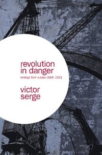 bokomslag Revolution In Danger
