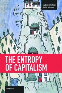 bokomslag The Entropy Of Capitalism