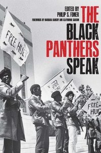 bokomslag Black Panthers Speak
