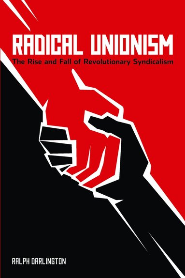 bokomslag Radical Unionism